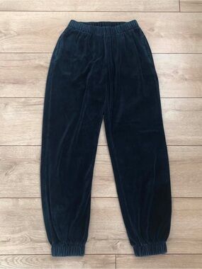 Brandy Melville Navy Velvet Sweatpants
